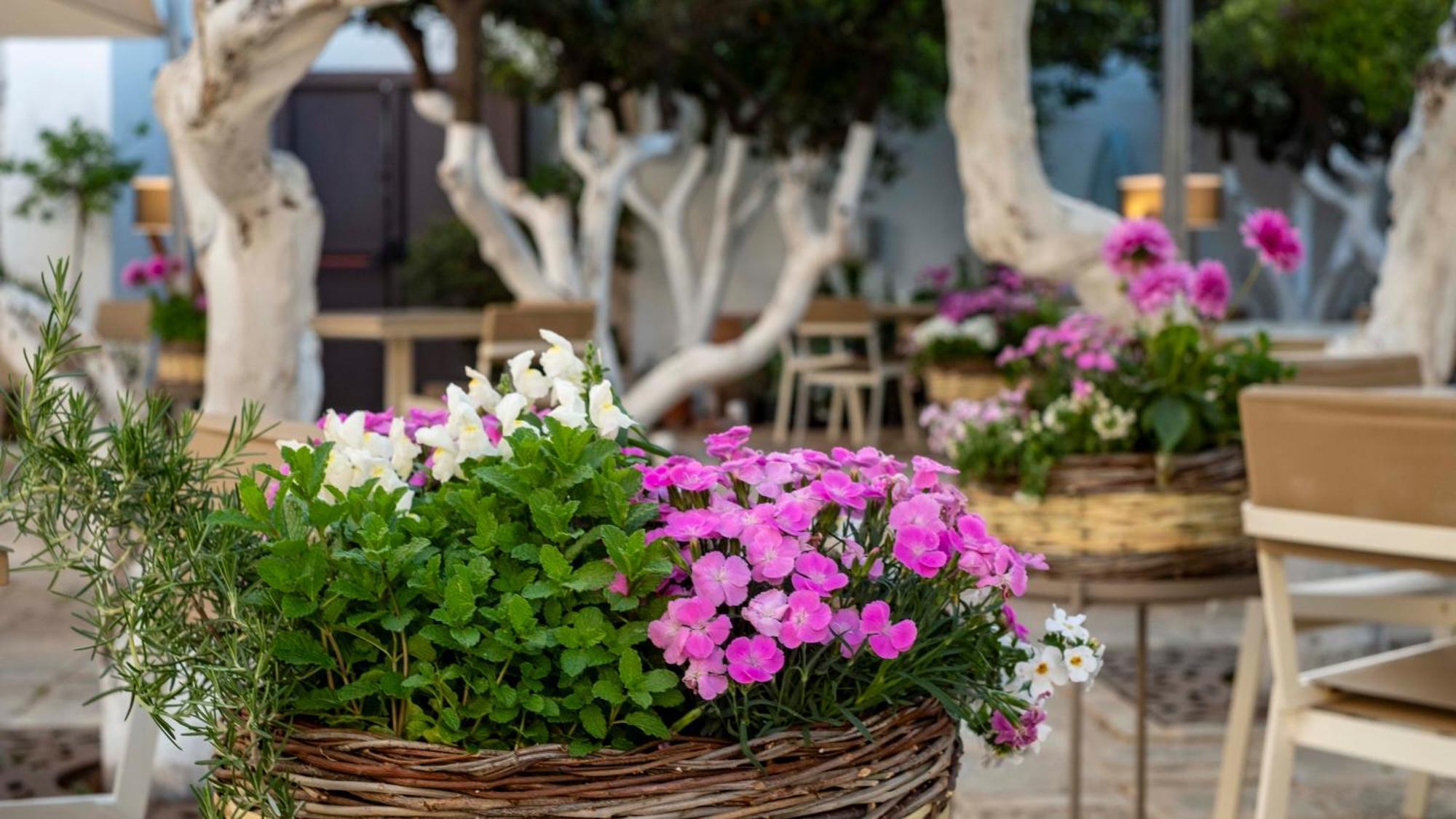 La Sommita Relais & Chateaux Ostuni Exterior foto